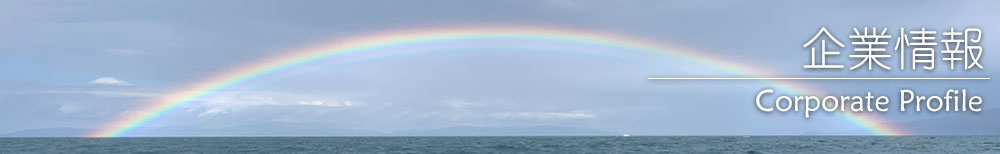 企業情報